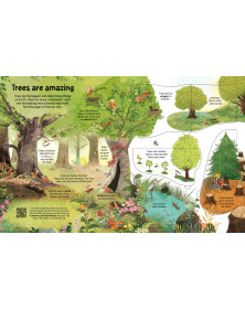 Usborne  See Inside Trees