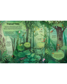 Usborne  See Inside Trees