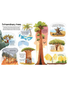 Usborne  See Inside Trees