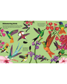 Usborne  Shimmery Stickers Birds