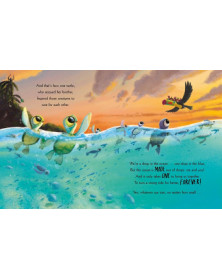 The turtle who turned the tide