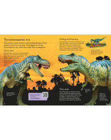 Usborne First Encyclopedia of Dinosaurs