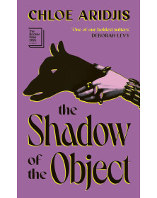 The Shadow of the Object
