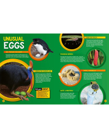 Weird but true! 2027 (National Geographic Kids)