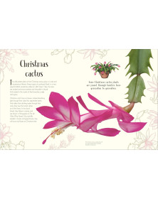 An Anthology of Christmas