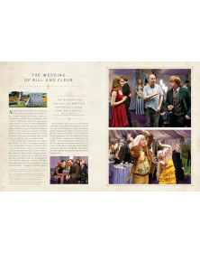 Harry Potter Magical Moments: A Visual Celebration of the Wizarding World in Film