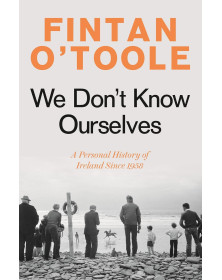 We Don't Know Ourselves: A Personal History of Ireland Since 1958