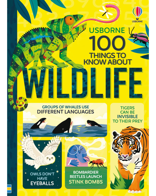 Usborne 100 Things to Know About Wildlife