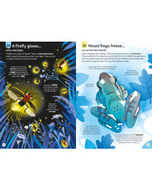 Usborne 100 Things to Know About Wildlife