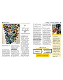 The Ecology Book: Big Ideas Simply Explained