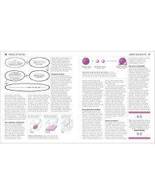 The Physics Book: Big Ideas Simply Explained