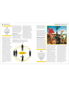The Sociology Book: Big Ideas Simply Explained