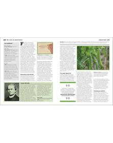 The Biology Book: Big Ideas Simply Explained