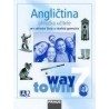 Angličtina Way to Win 7 příručka učitele