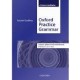 Oxford Practice Grammar Intermediate Lesson plans and worksheets