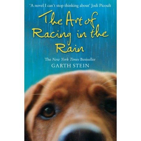 The Art of Racing in the Rain The Art of Racing in the Rain