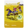 Footprints 3 Flashcards